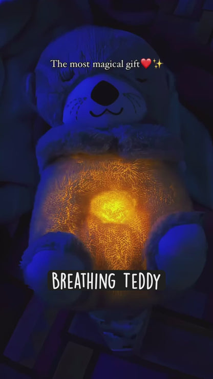 Breathing Teddy Bear